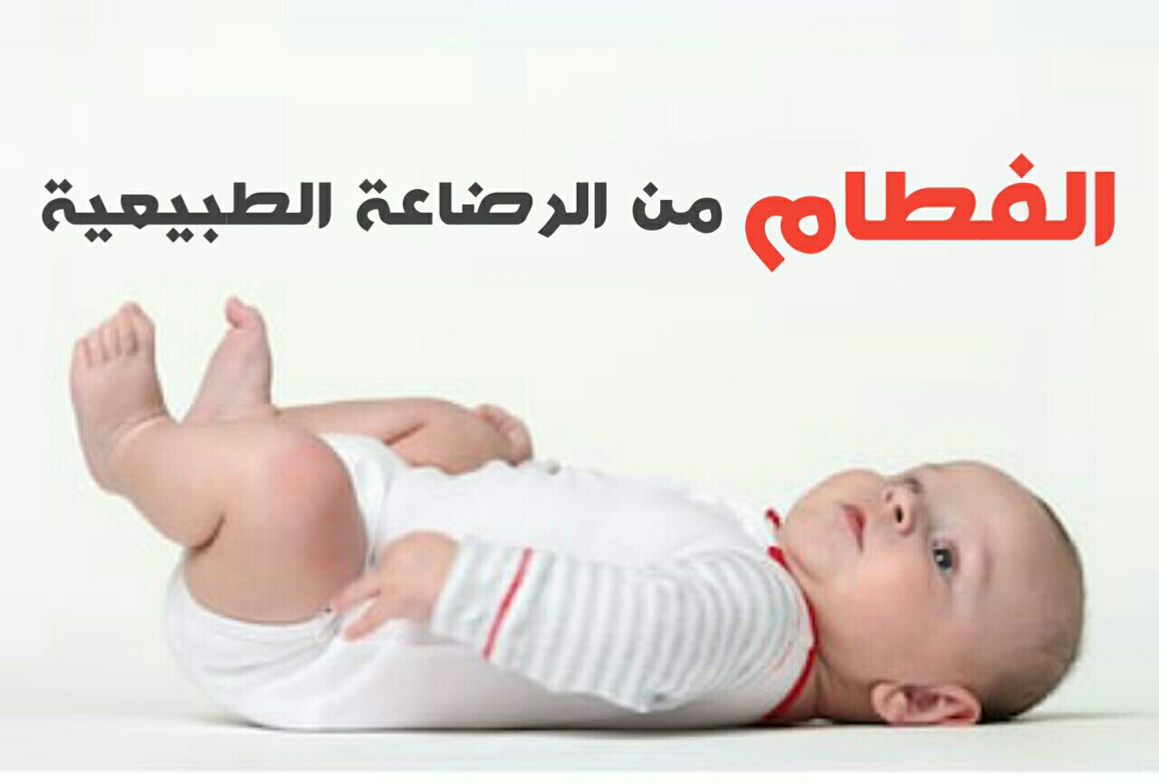 طريقة الفطام في الإسلام