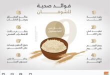 اهم 5 فوائد الشوفان .. ووصفات مفيدة للاطفال