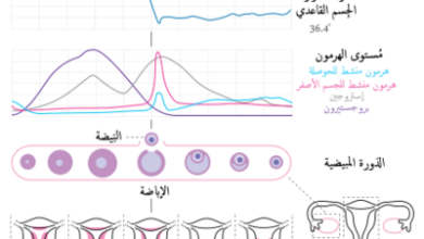 تغير الهرمونات قبل الدورة الشهرية