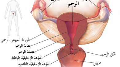 أسباب لحدوث شد في منطقة الرحم