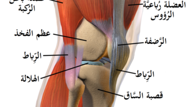 أسباب آلام الركبة