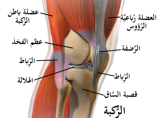 أسباب آلام الركبة