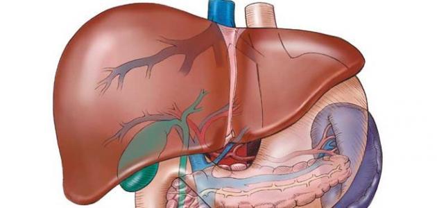 أعراض فيروس سي النشط