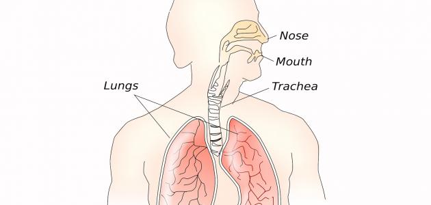 الطرق لعلاج الزغطة المستمرة