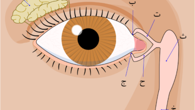 كل ما تحتاج معرفته حول دموع العين