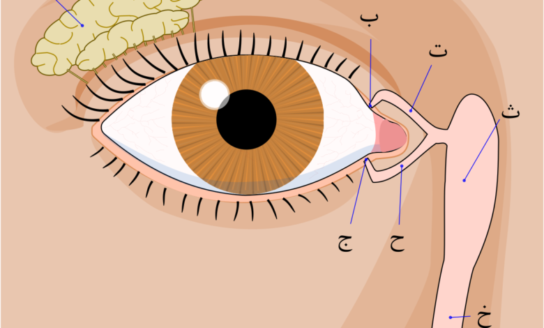 كل ما تحتاج معرفته حول دموع العين