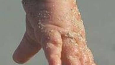 رواية الطفل الكبير كاملة (جميع فصول الرواية) بقلم سيد منصور