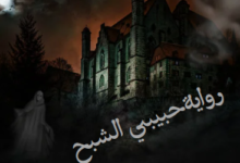 رواية حبيبي الشبح