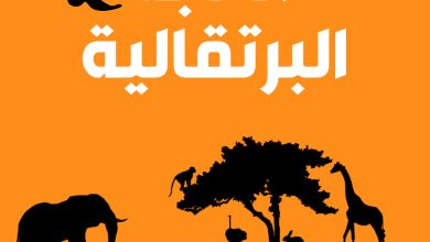 كتاب الغابة البرتقالية